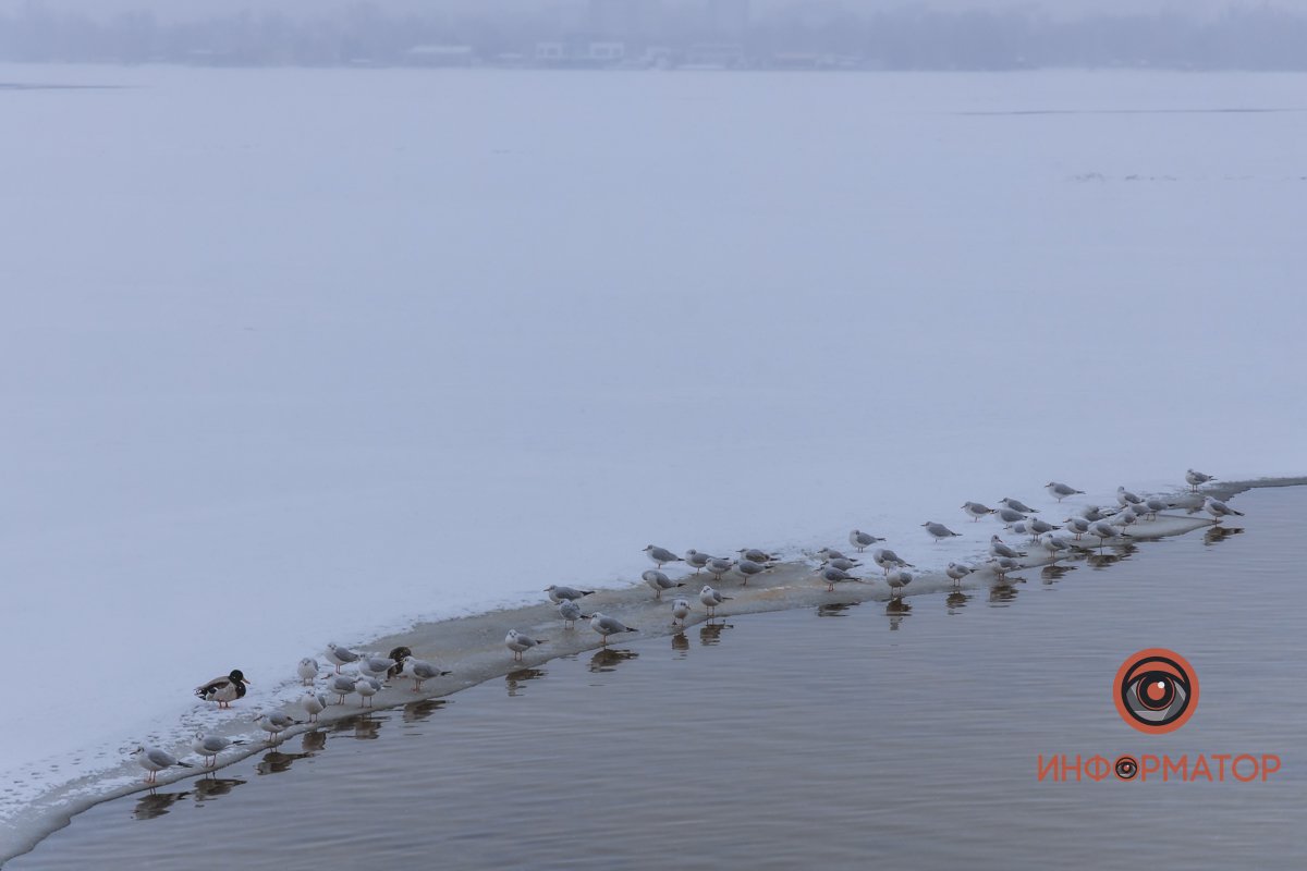 Отдыхают на пляже