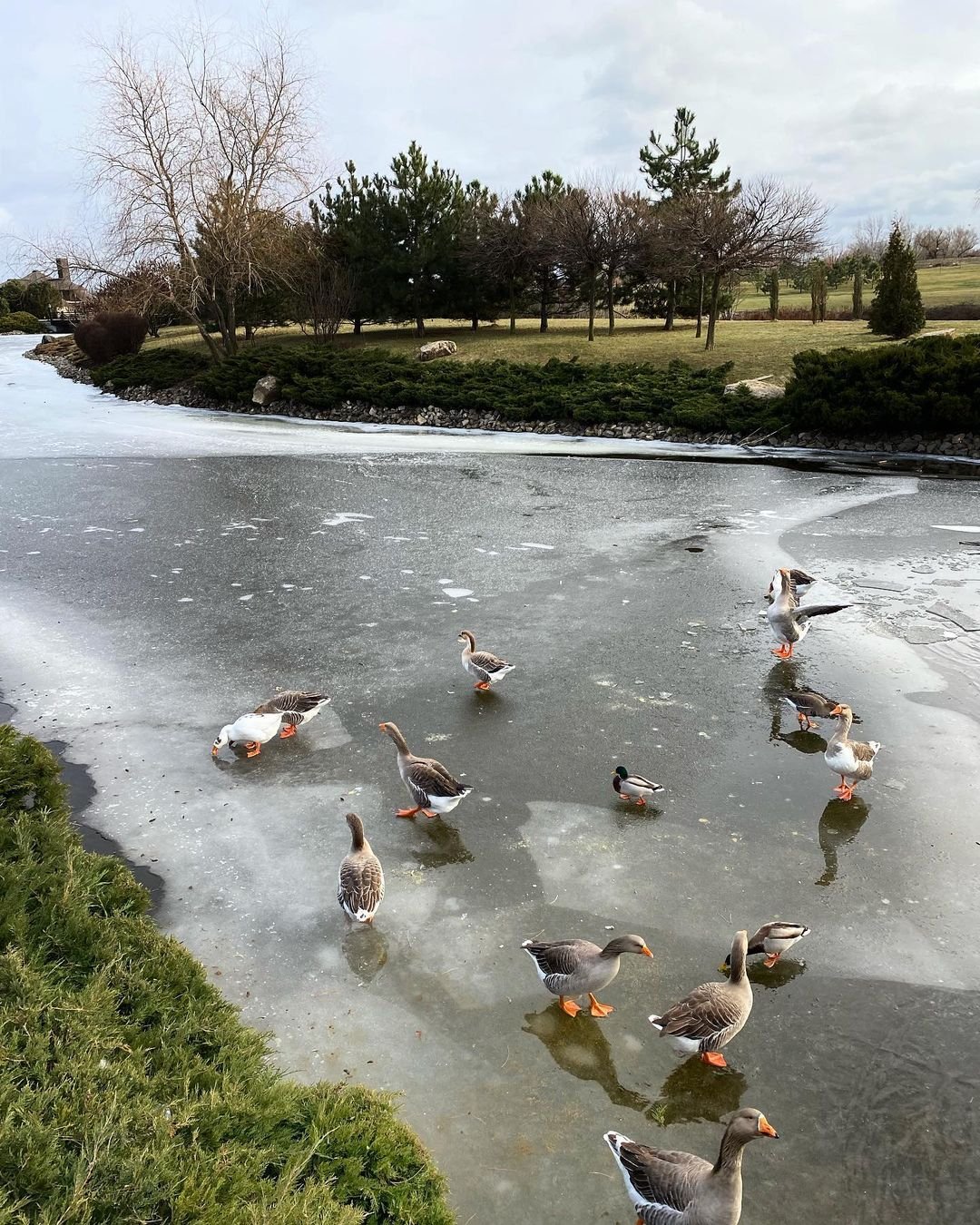 @vladislavaburlakova