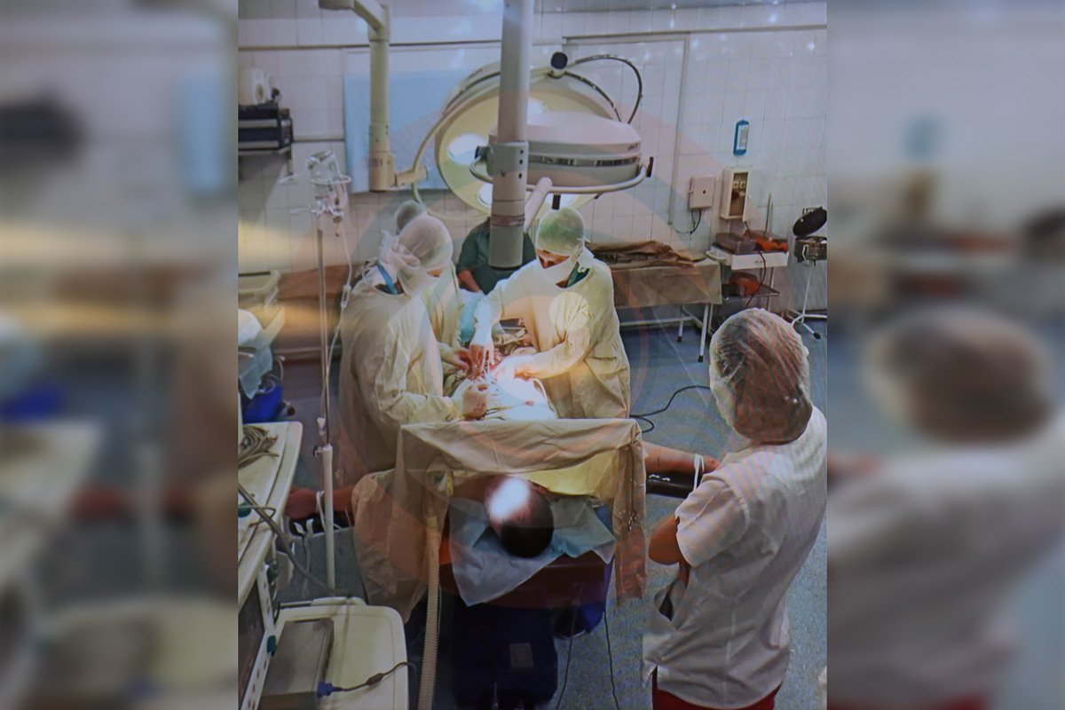 За их жизни борются профессионалы