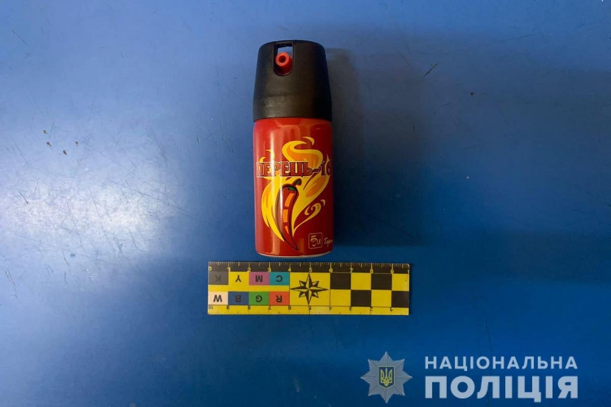 Пистолет и газовый баллончик направили на экспертизы