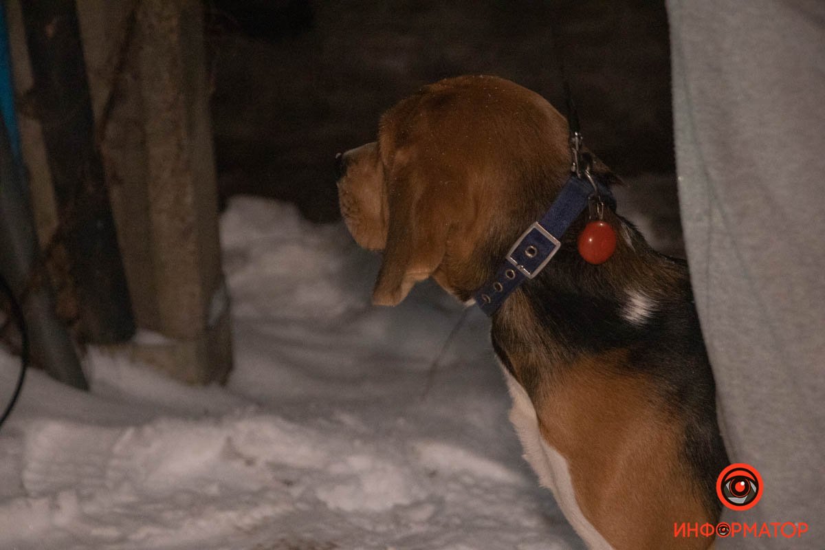 Собакен Собакен