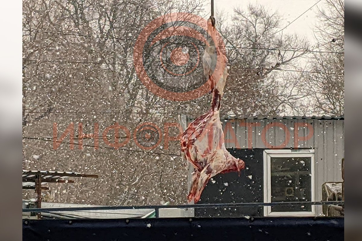 Вероятно, в гастрономических целях