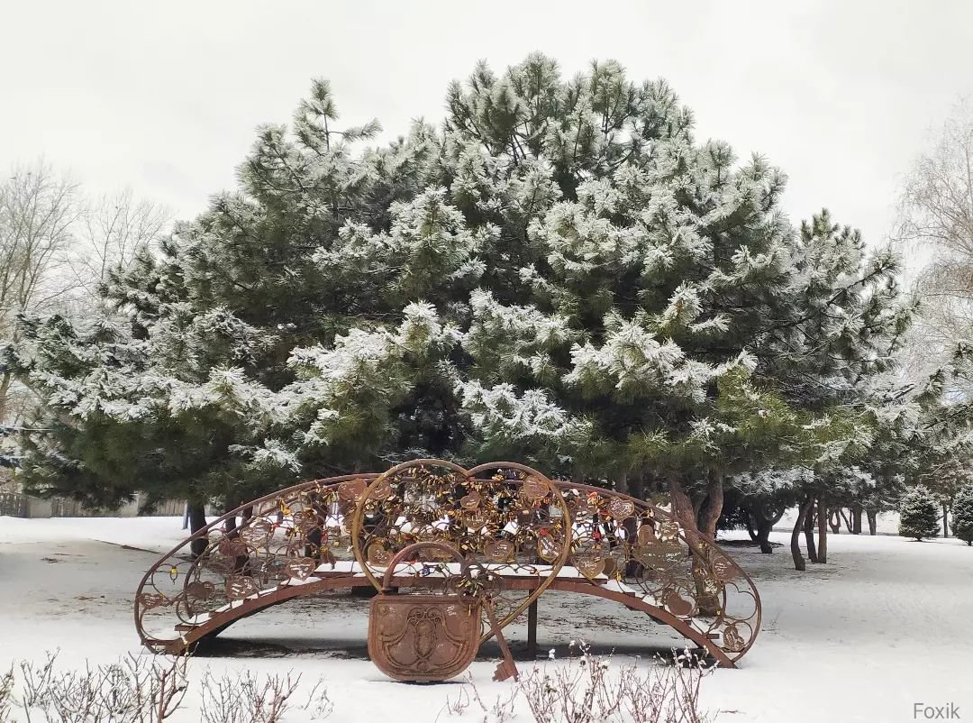 @anna_foxik_letka @anna_foxik_letka