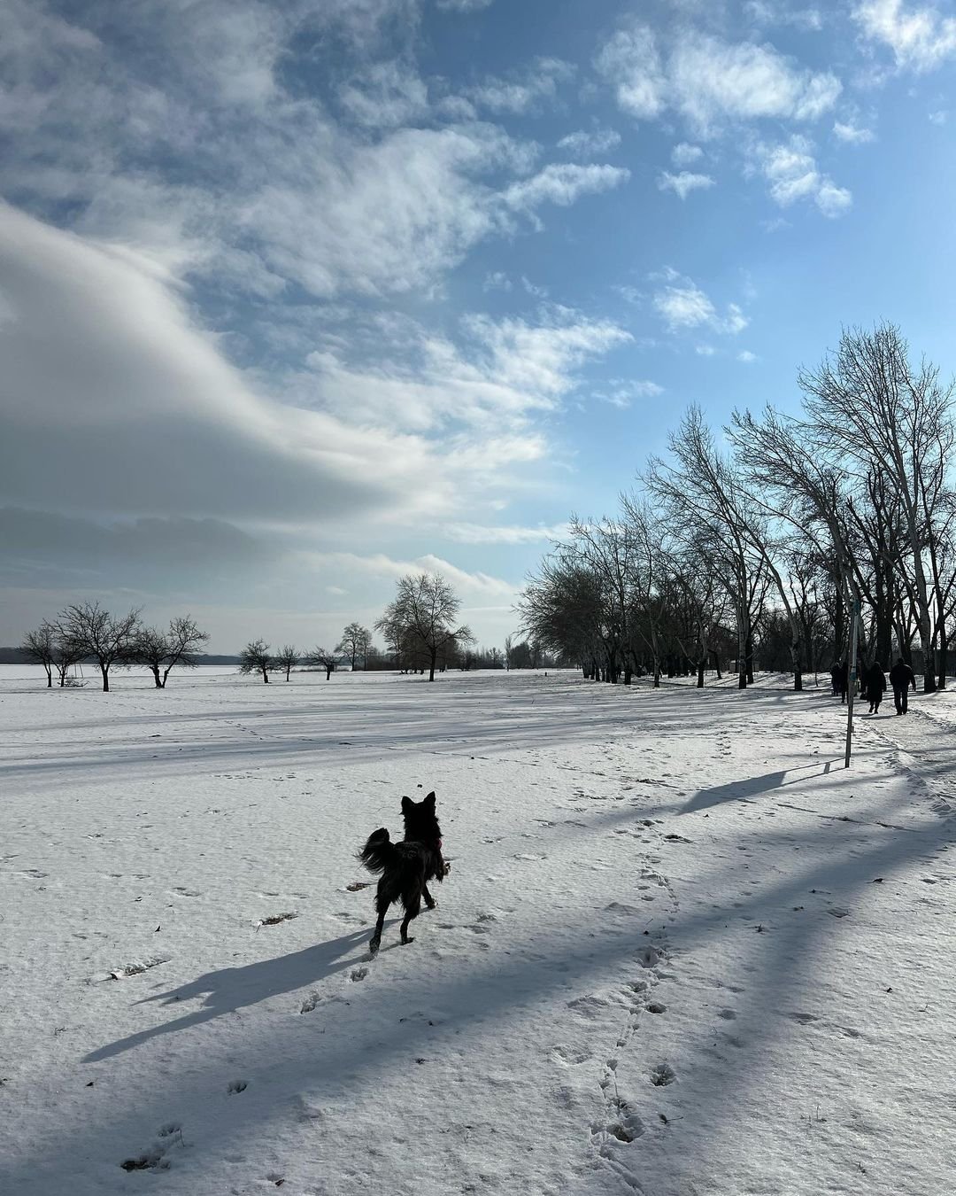 @alena_prihodkoo @alena_prihodkoo