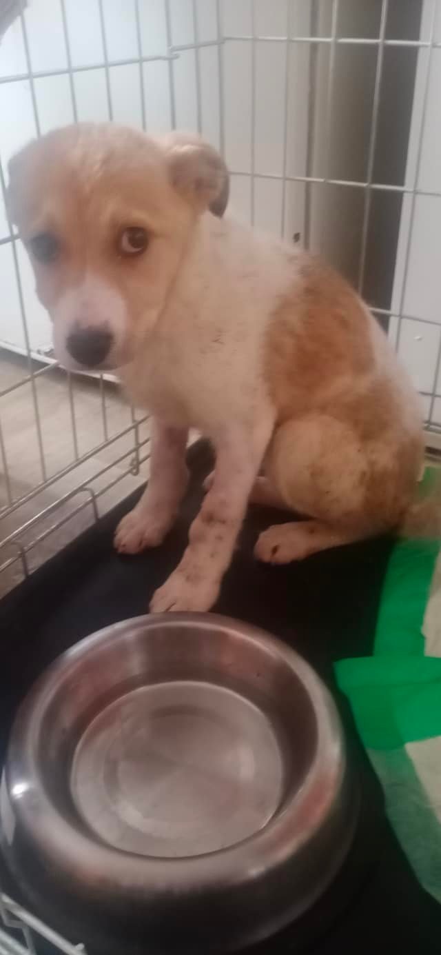 Малыши нуждаются в помощи