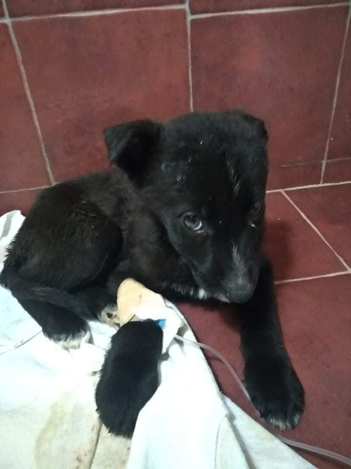 На счету каждая минута!