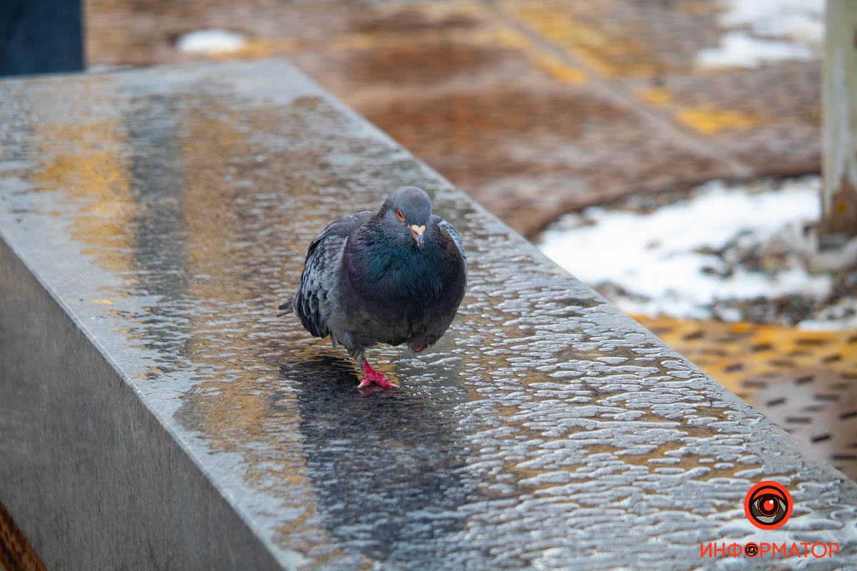 Тоже житель, ну а что