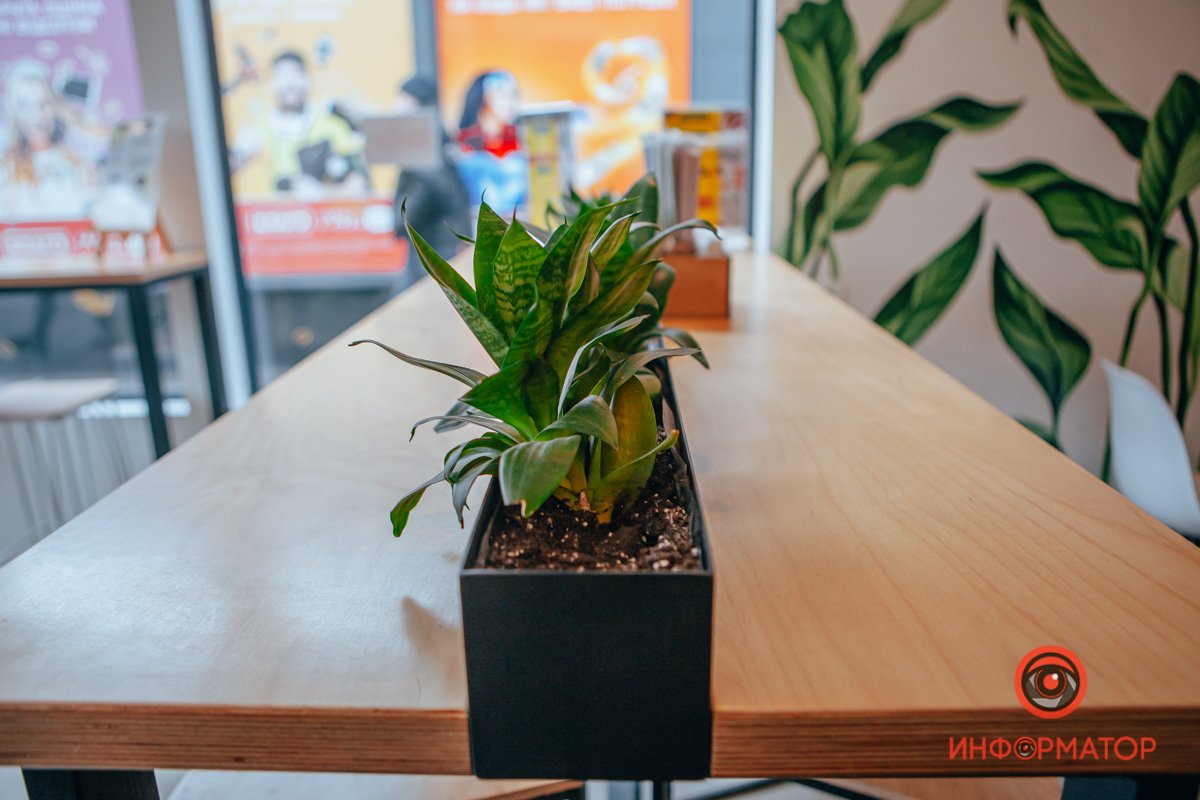 Все в цветах Все в цветах