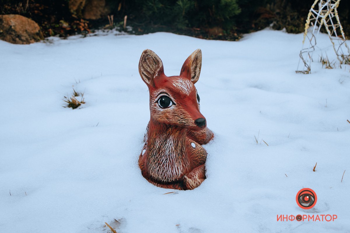 Никто не терял?