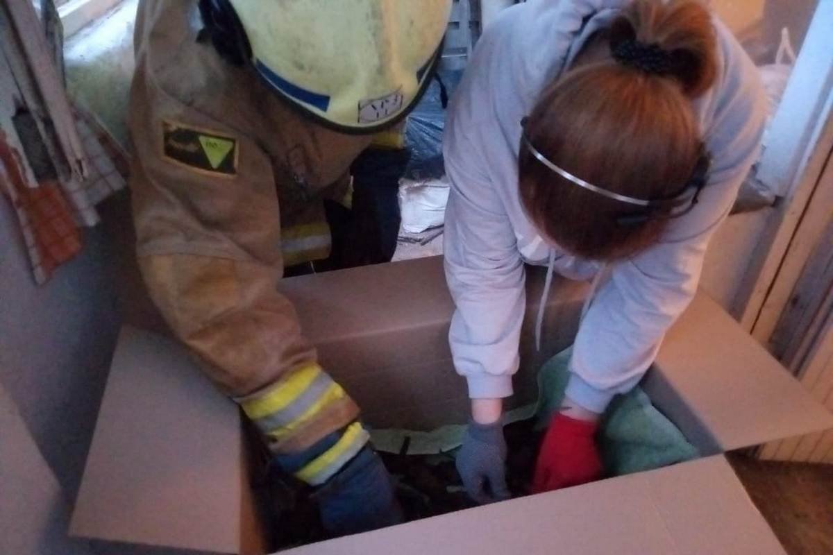 На место вызвали спасателей