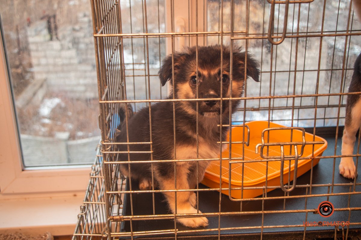 Нужна помощь Нужна помощь