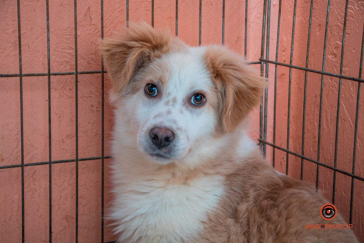 Пришлось многое пережить Пришлось многое пережить