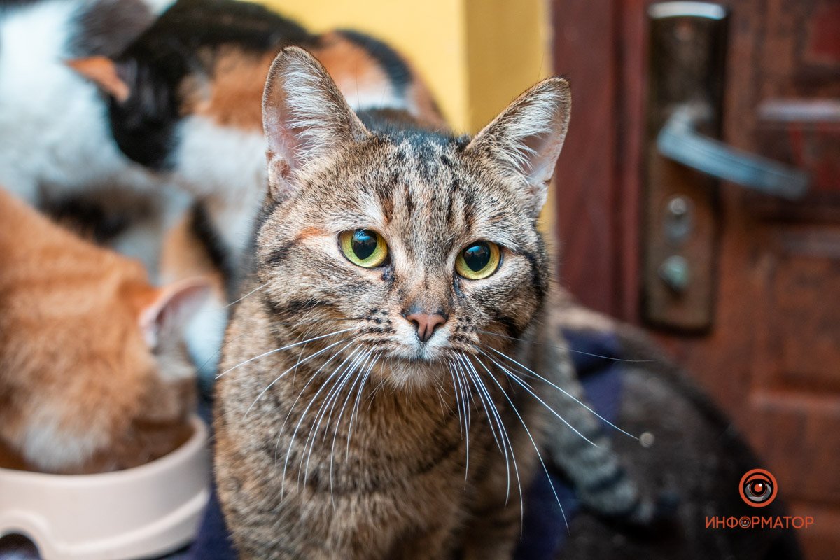 Фото: Антон Гордиенко Фото: Антон Гордиенко