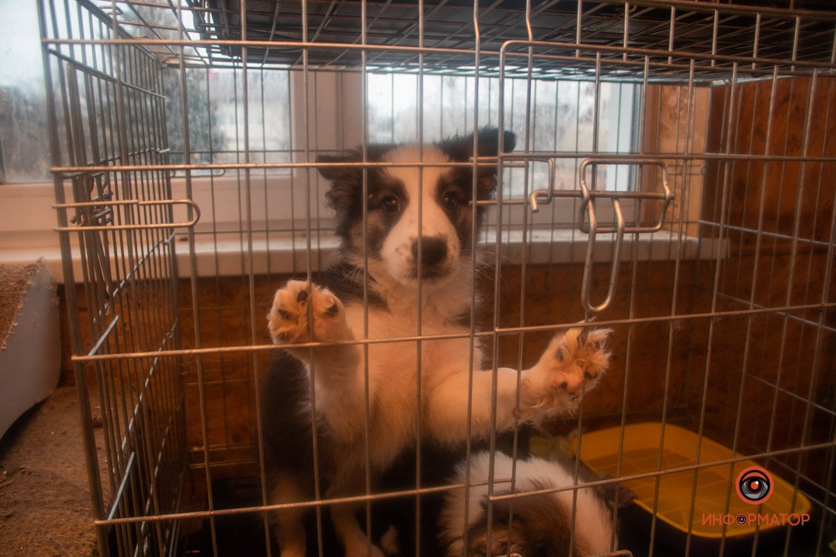 Фото: Антон Гордиенко Фото: Антон Гордиенко