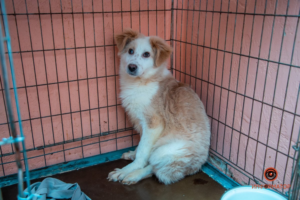 Фото: Антон Гордиенко Фото: Антон Гордиенко