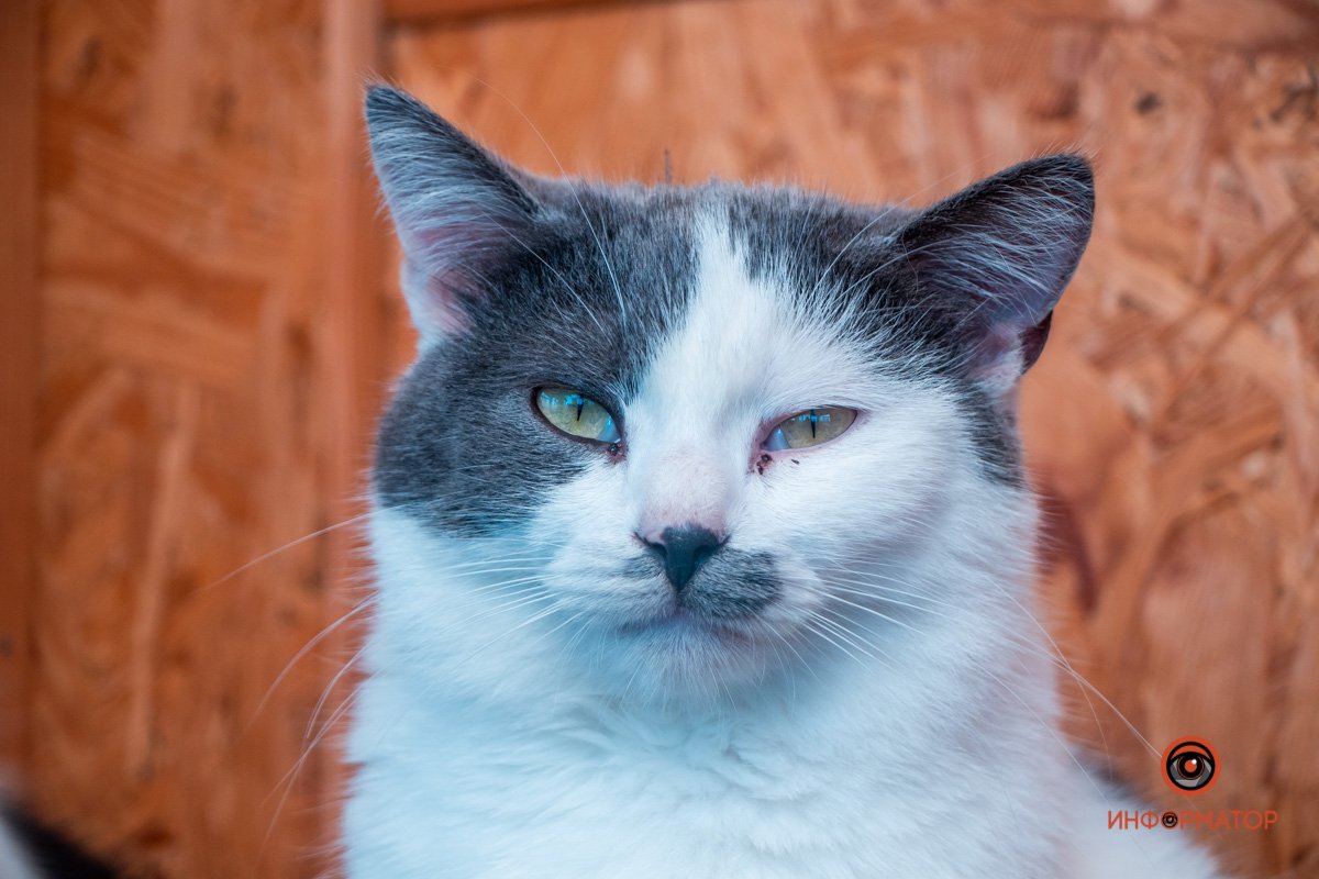 Фото: Антон Гордиенко Фото: Антон Гордиенко