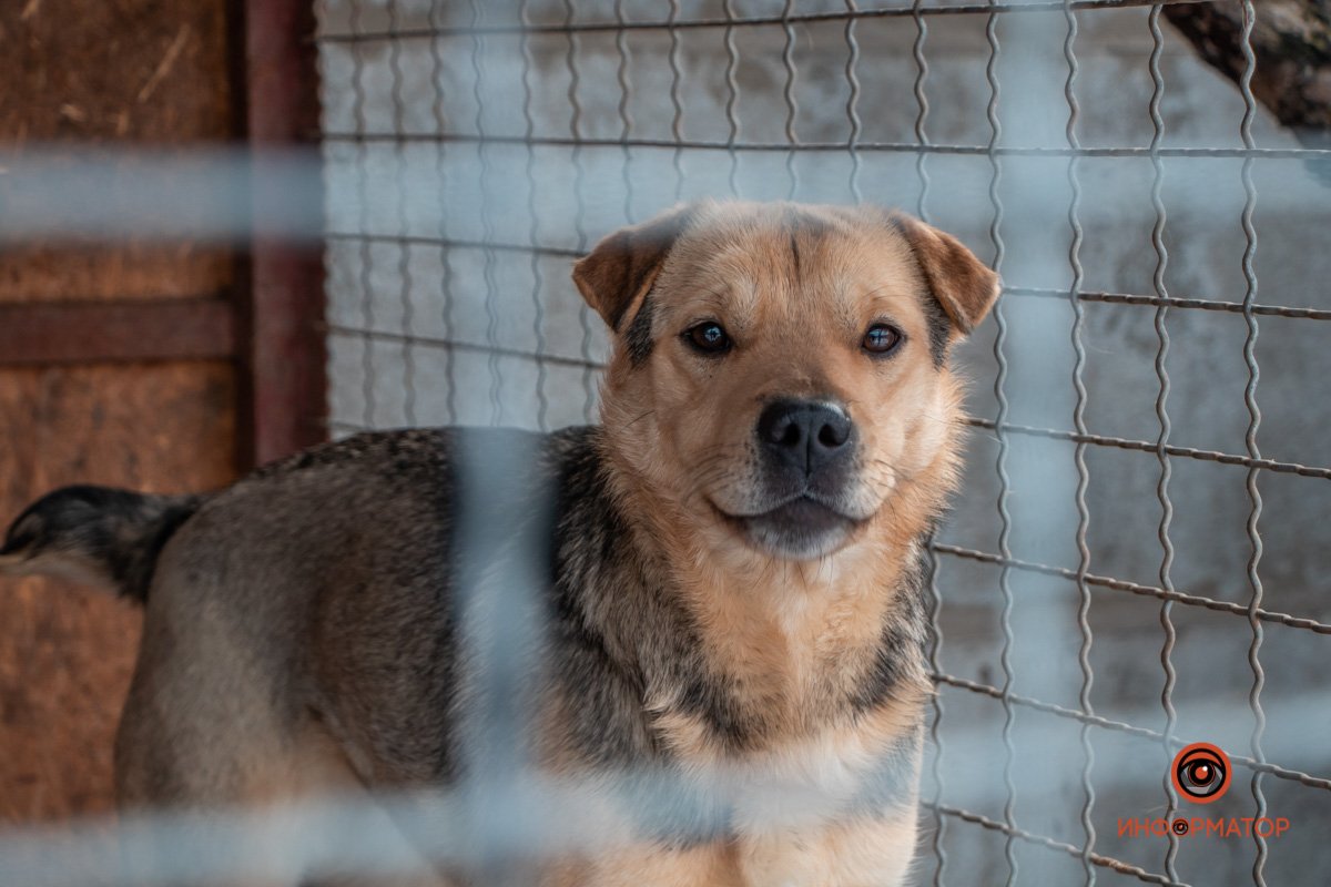 Фото: Антон Гордиенко Фото: Антон Гордиенко