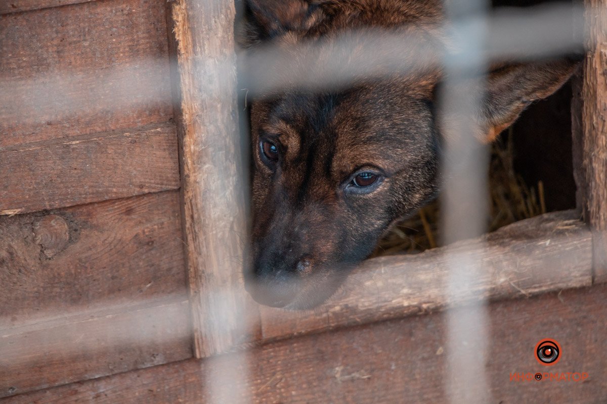 Фото: Антон Гордиенко Фото: Антон Гордиенко