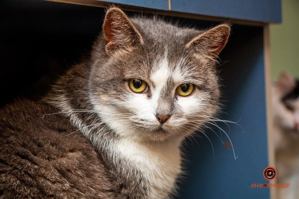 Фото: Антон Гордиенко Фото: Антон Гордиенко