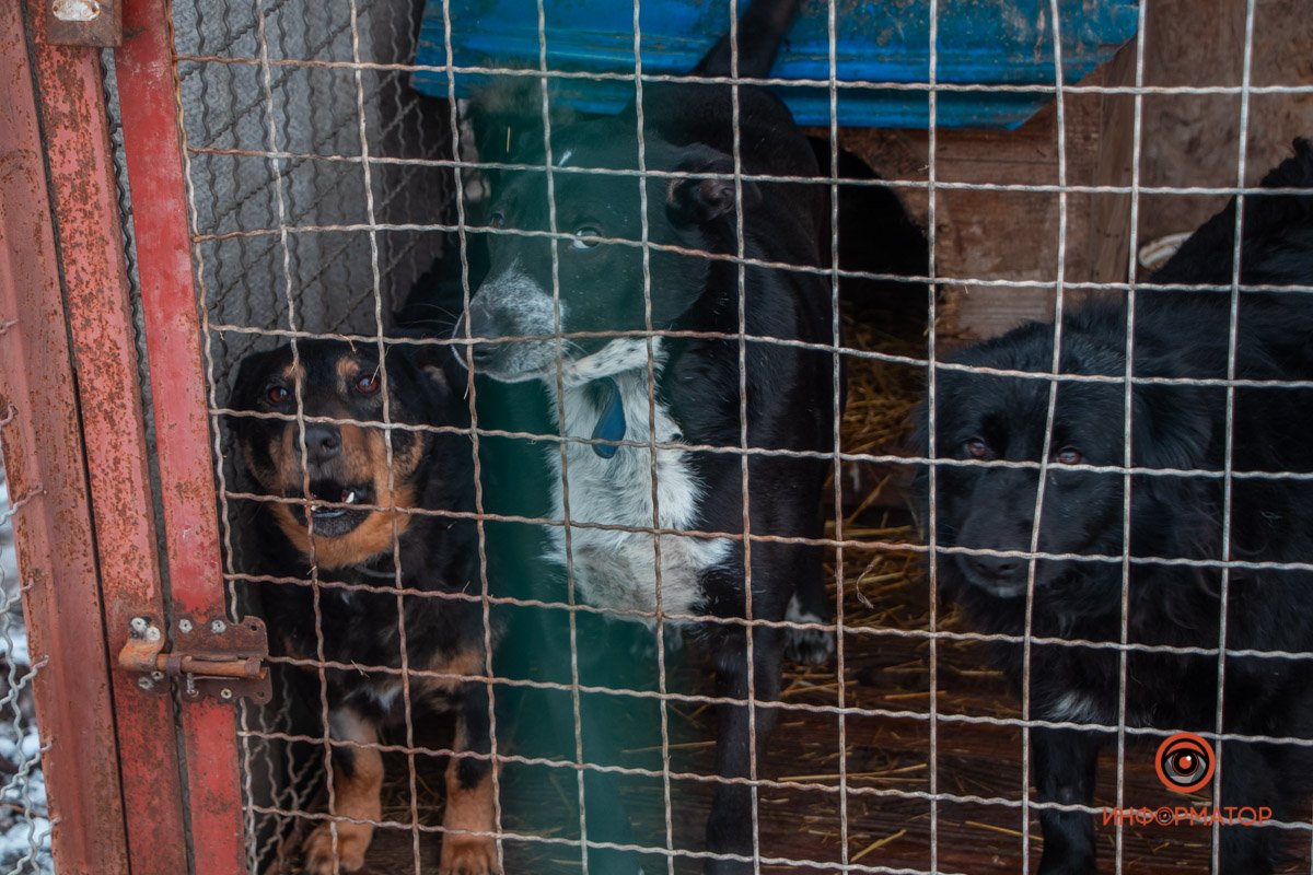 Фото: Антон Гордиенко Фото: Антон Гордиенко