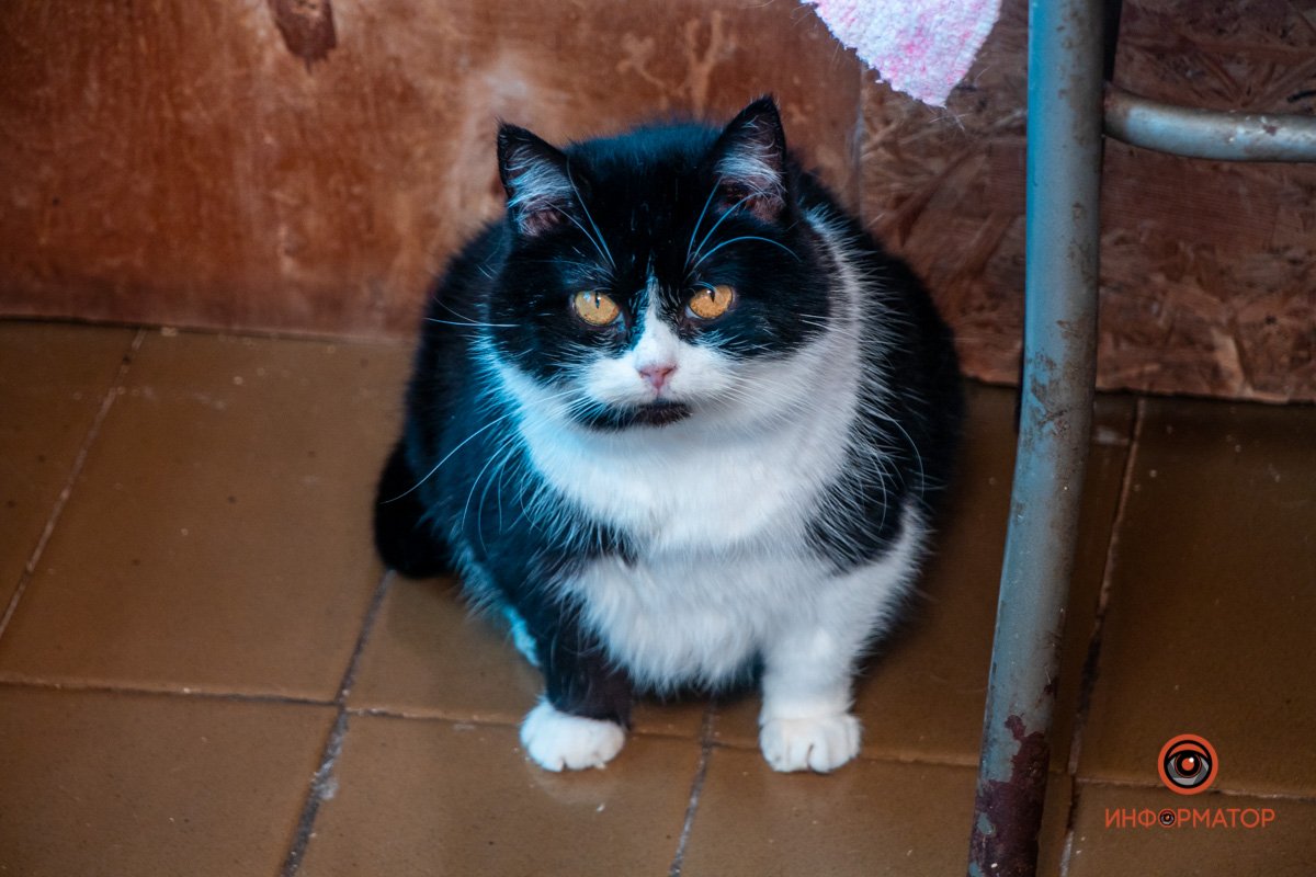 Фото: Антон Гордиенко Фото: Антон Гордиенко