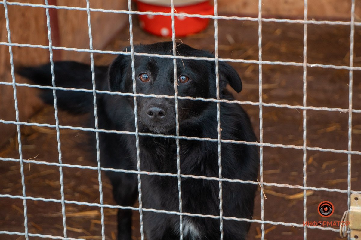 Фото: Антон Гордиенко Фото: Антон Гордиенко