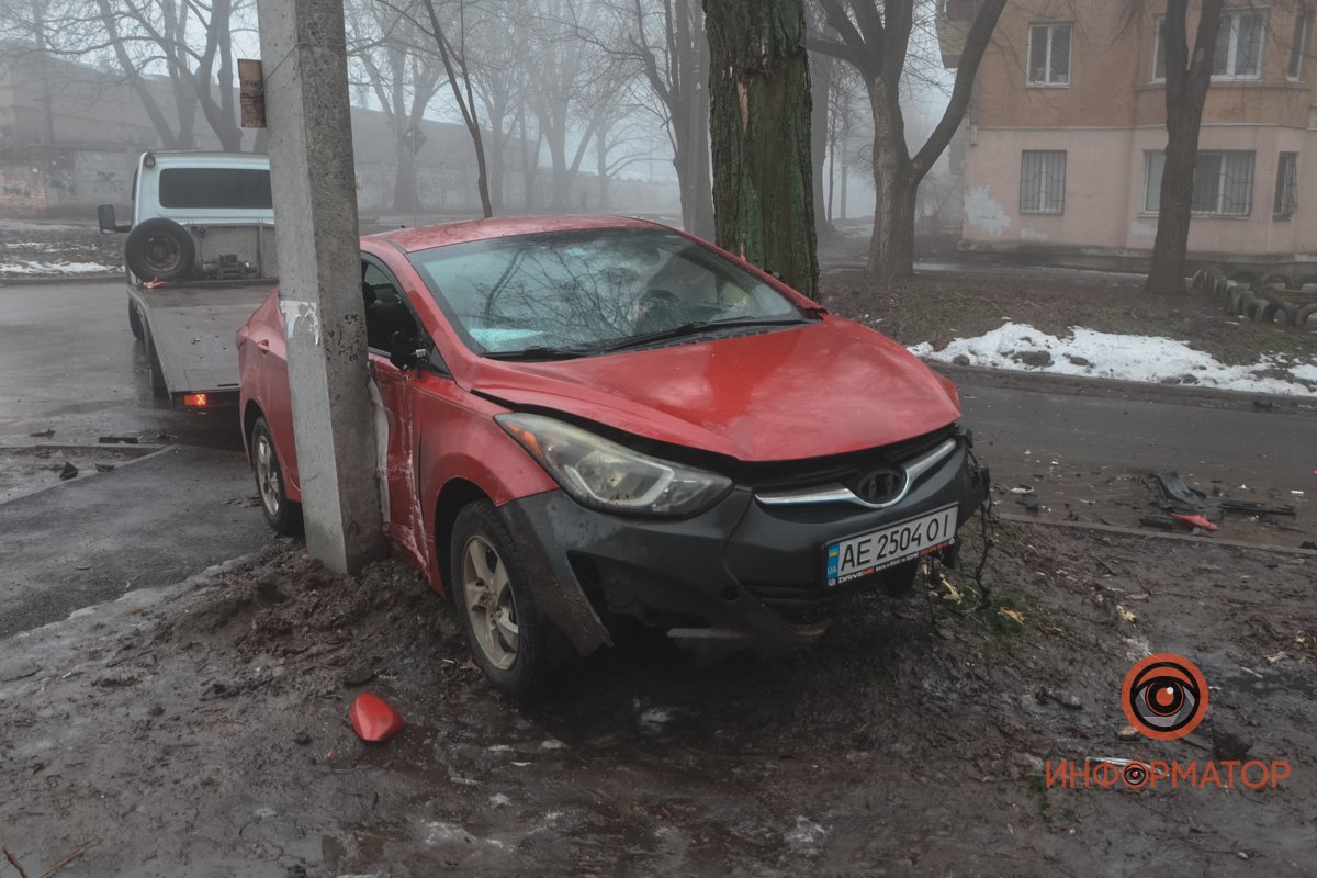 Там он застрял между деревом и электроопорой