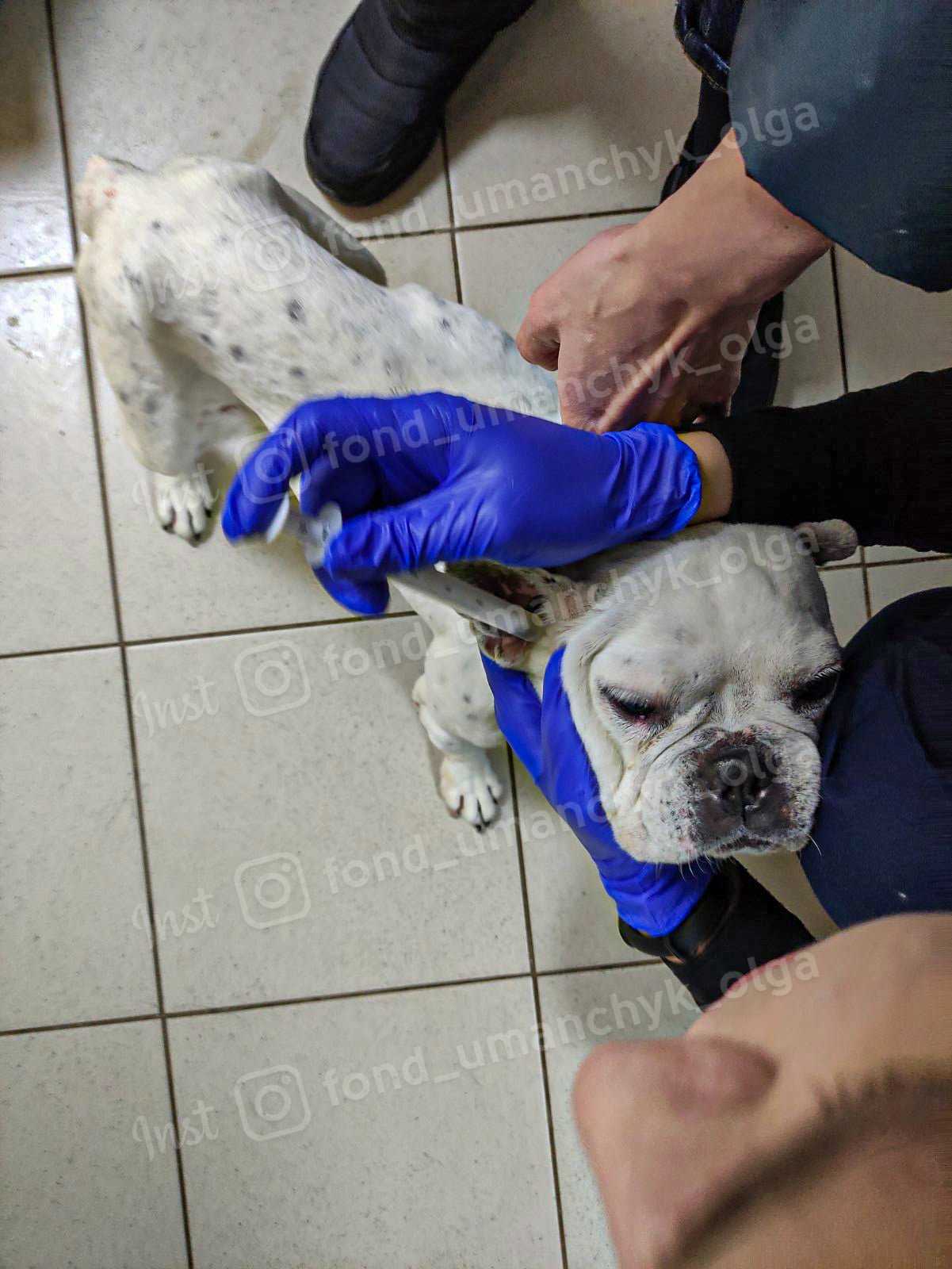 Моне необходима полная диагностика