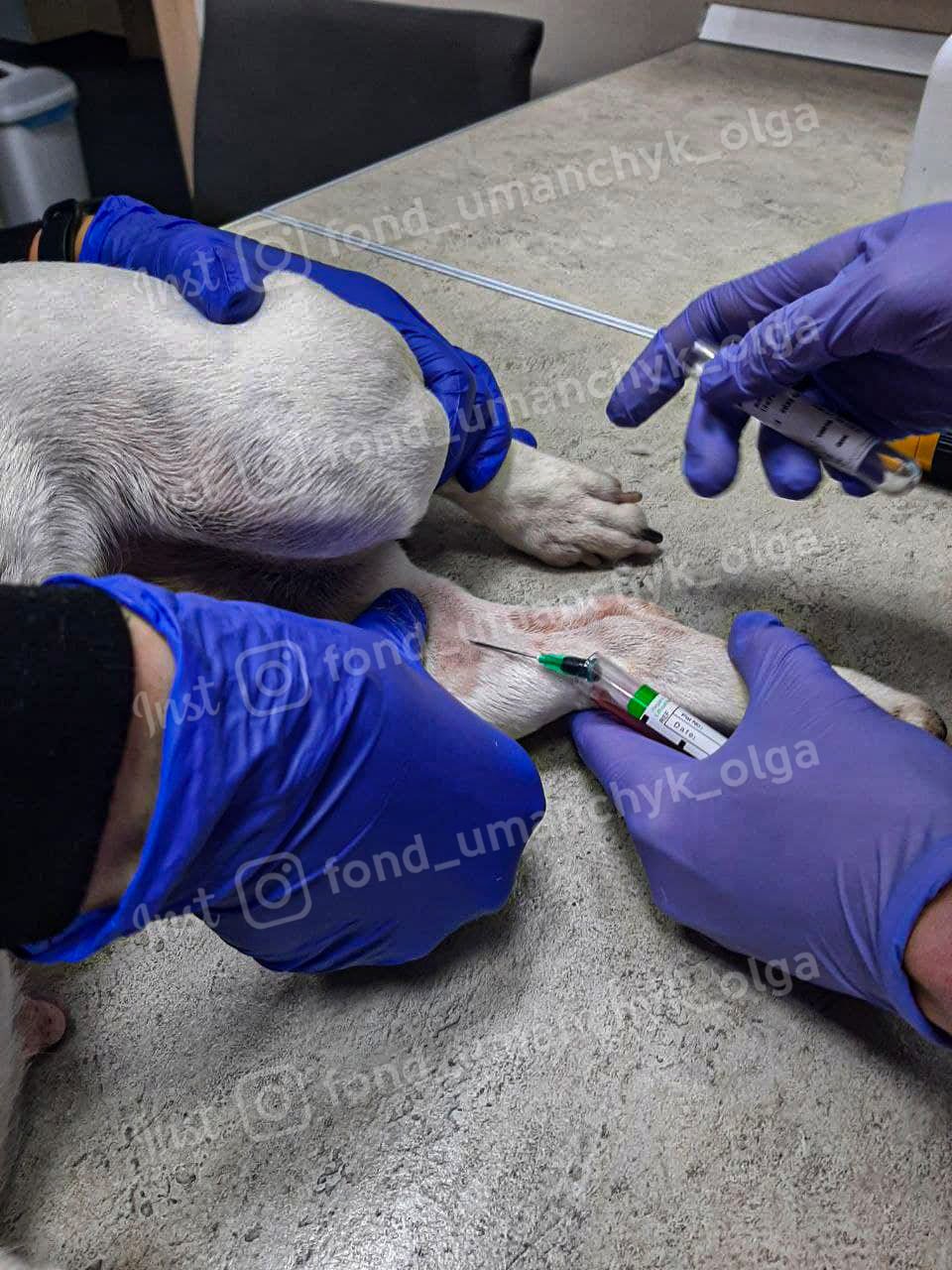 На счету каждая секунда