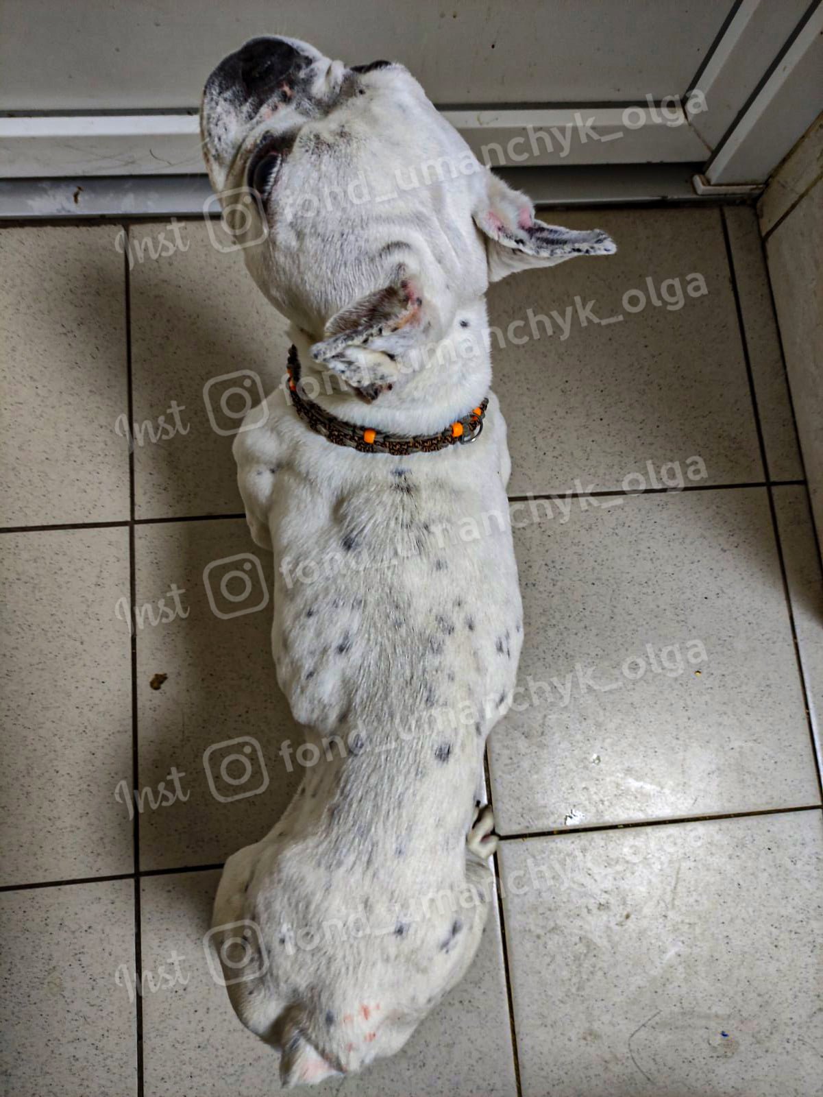 У Моны ужасное истощение