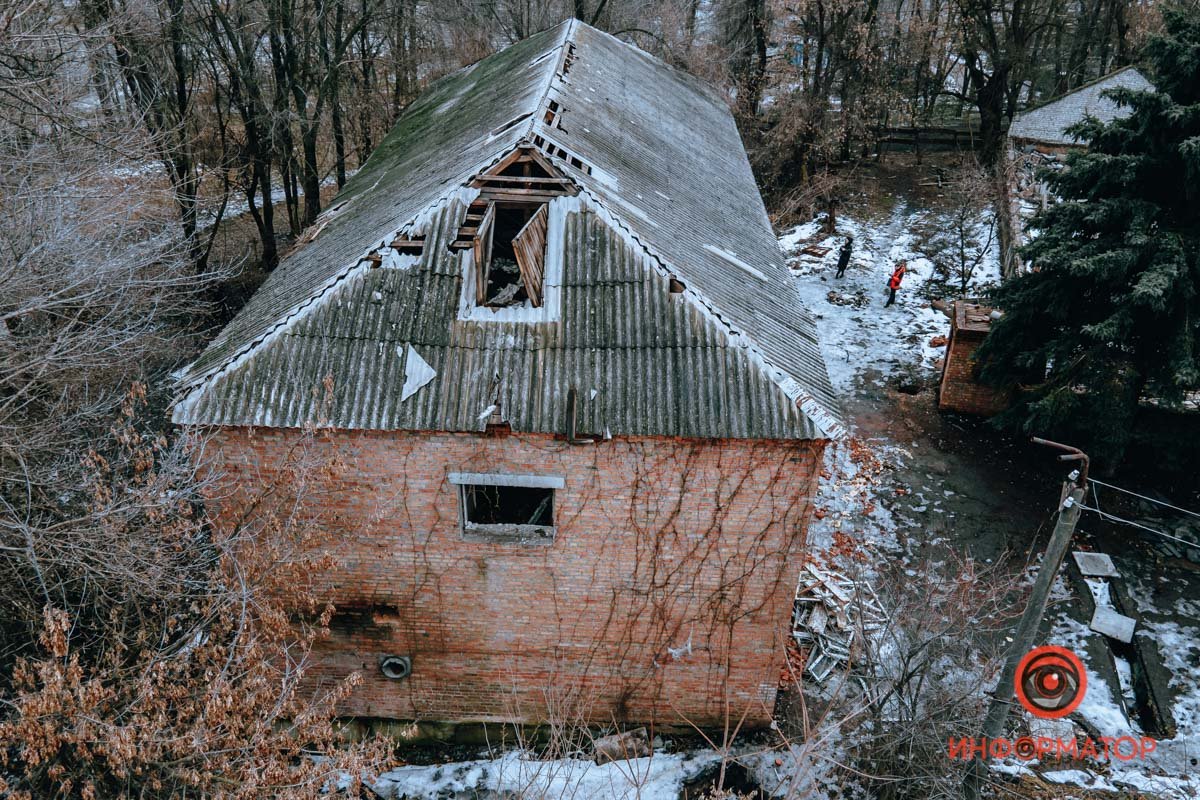 Природа берет свое Природа берет свое