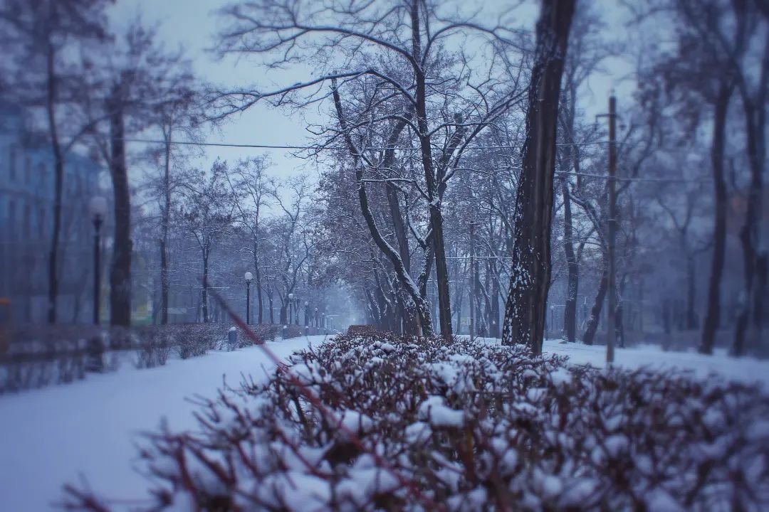 photographer_andrey_moroz