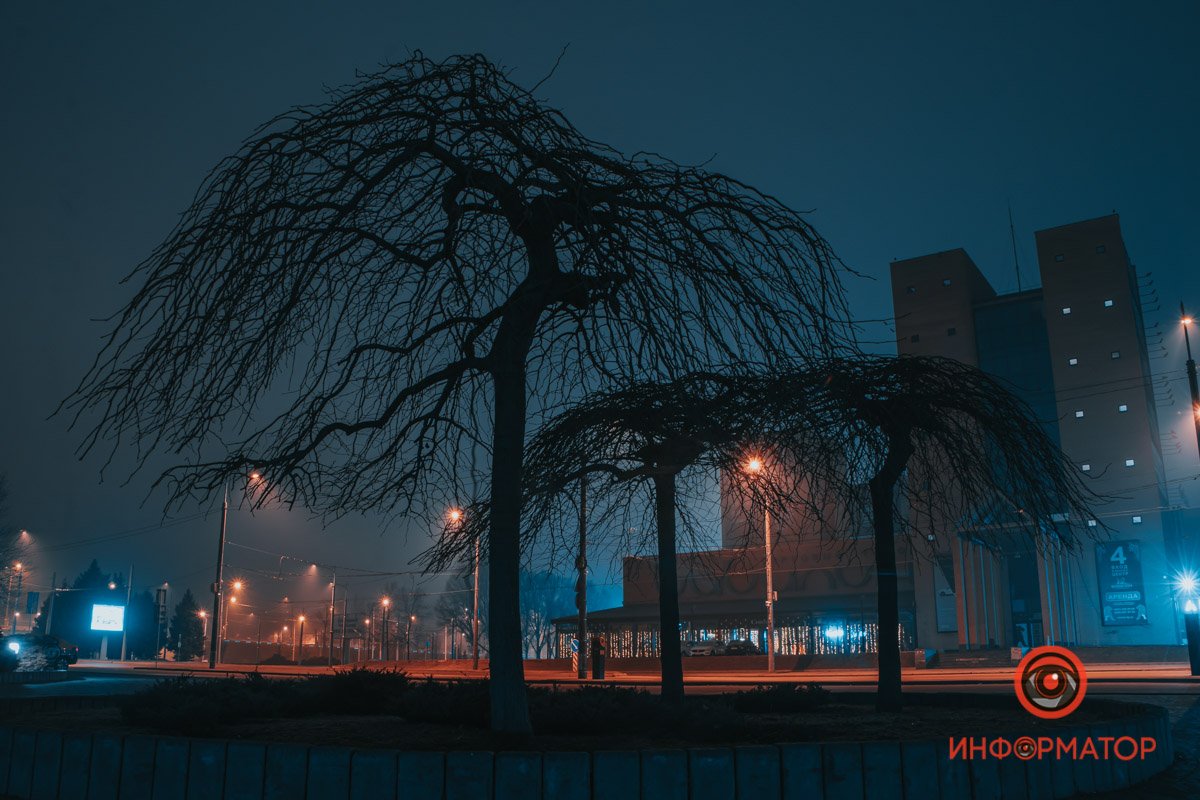 Спрятаться бы от проблем за кронами деревьев 