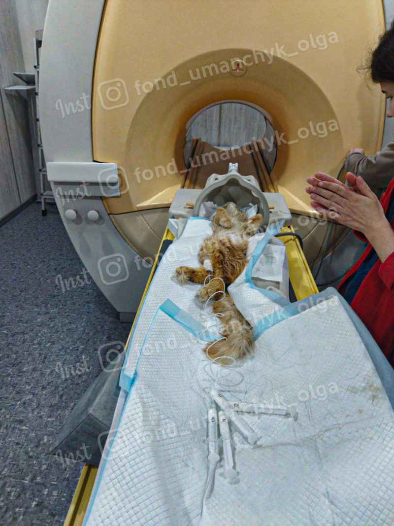 Нужна операция Нужна операция