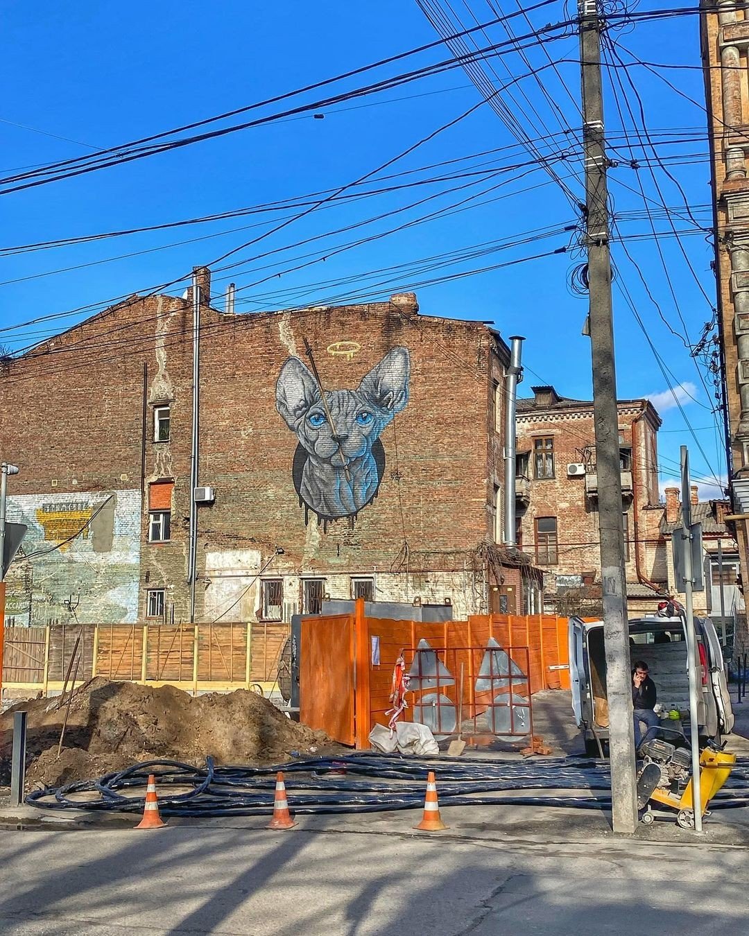 Фото: @_olya_bond Фото: @_olya_bond