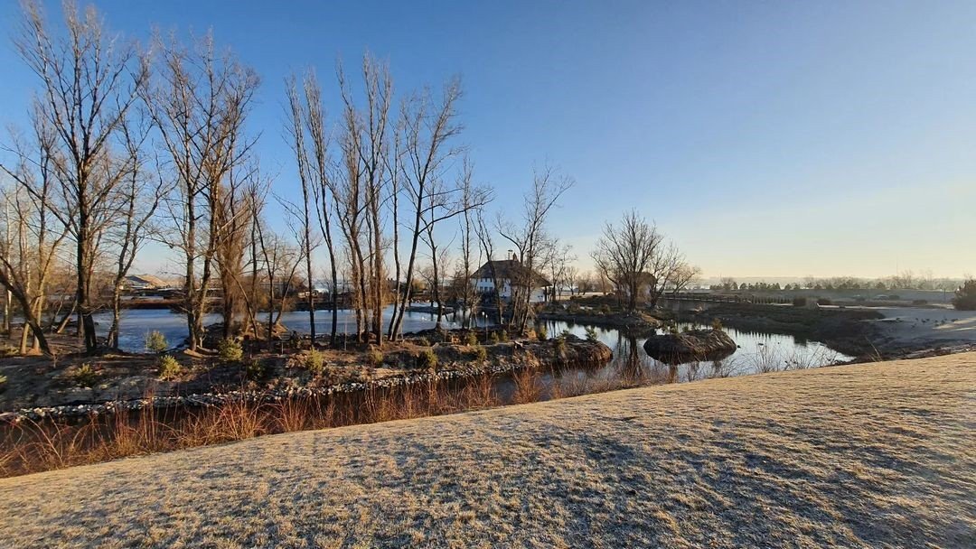 Фото: @dddartv Фото: @dddartv