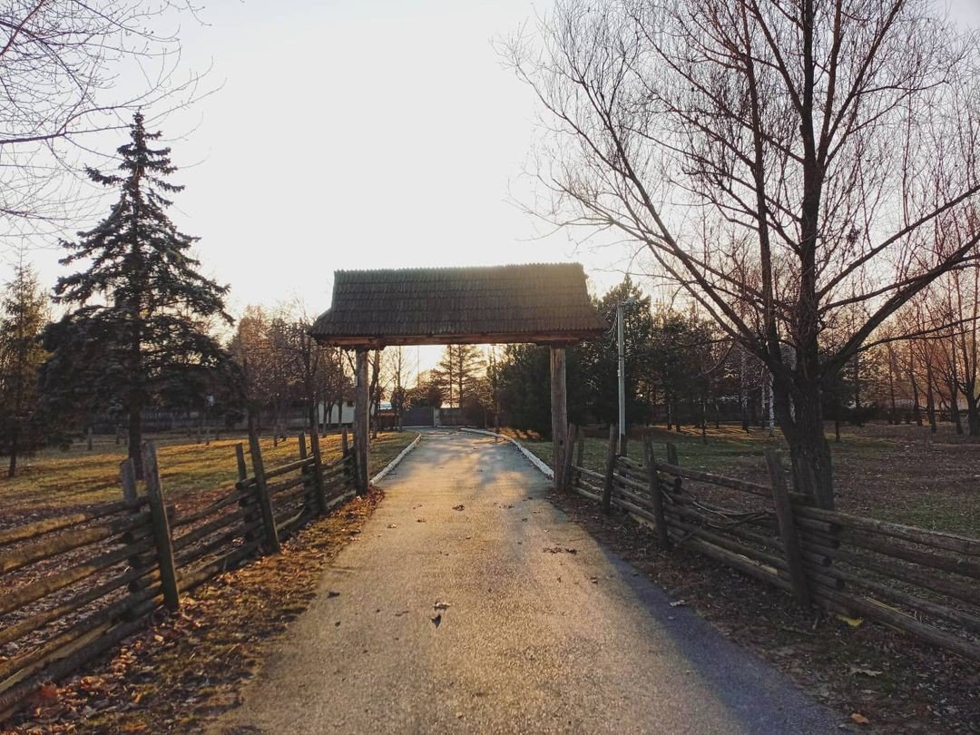 Фото: @ollymag Фото: @ollymag