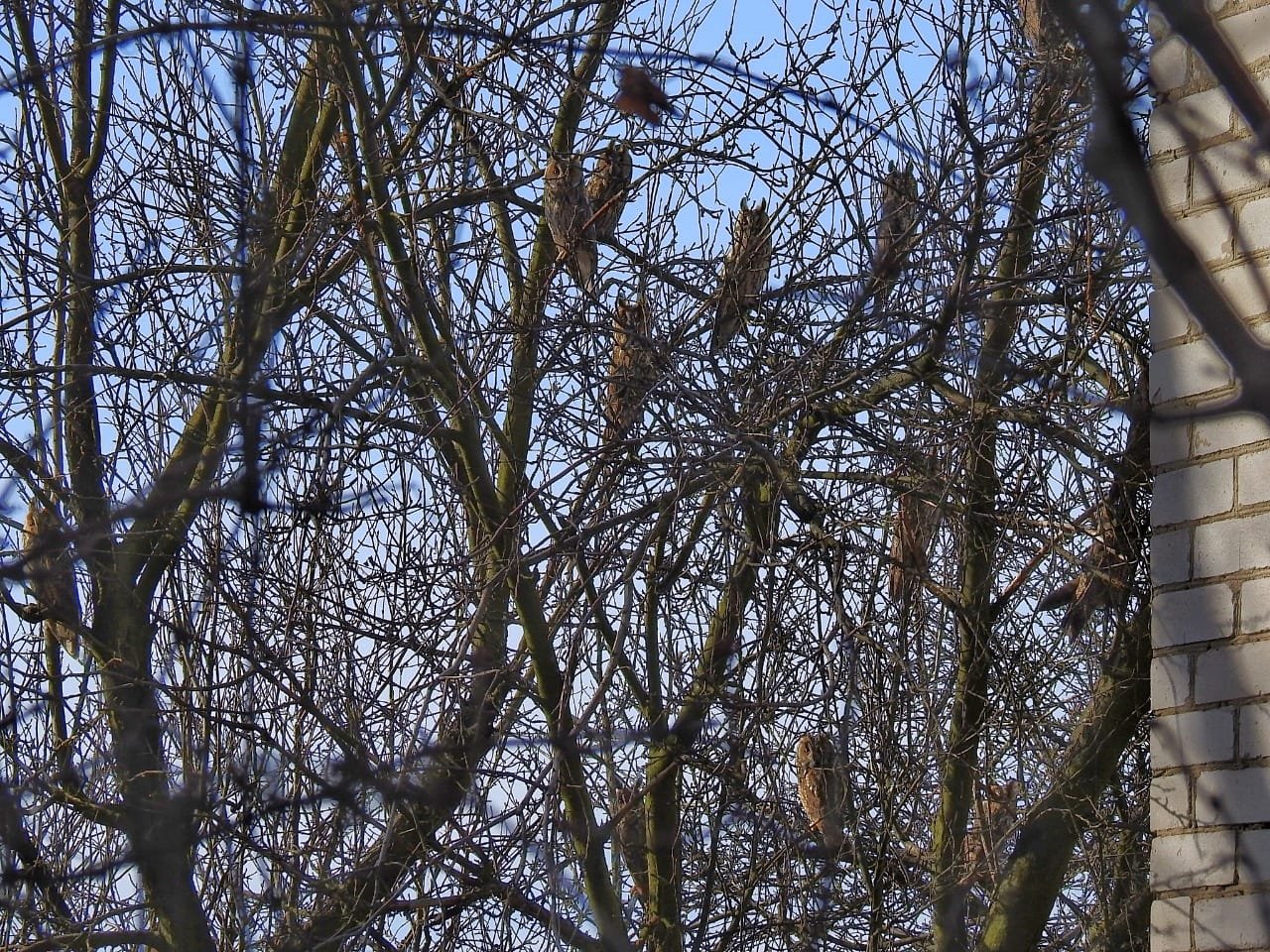 Крутая банда 