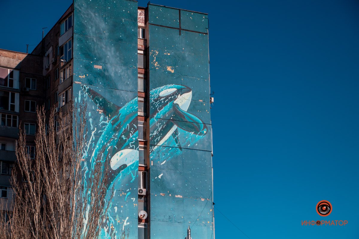 Домашняя касатка