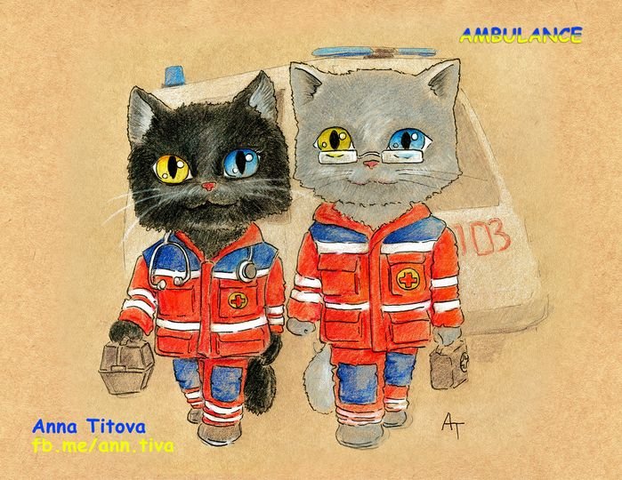 Коты-медики