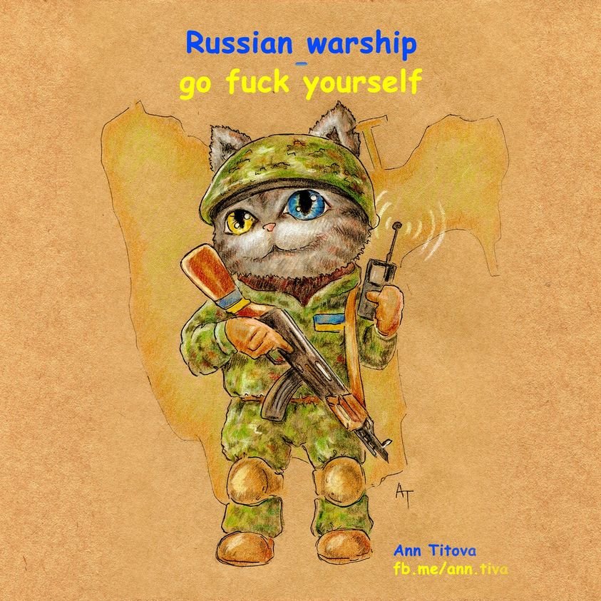 Кот-военный