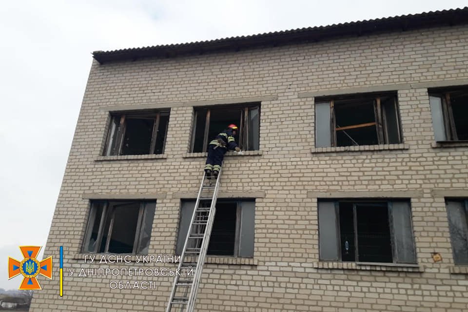 Зашили окна защитной сеткой Зашили окна защитной сеткой