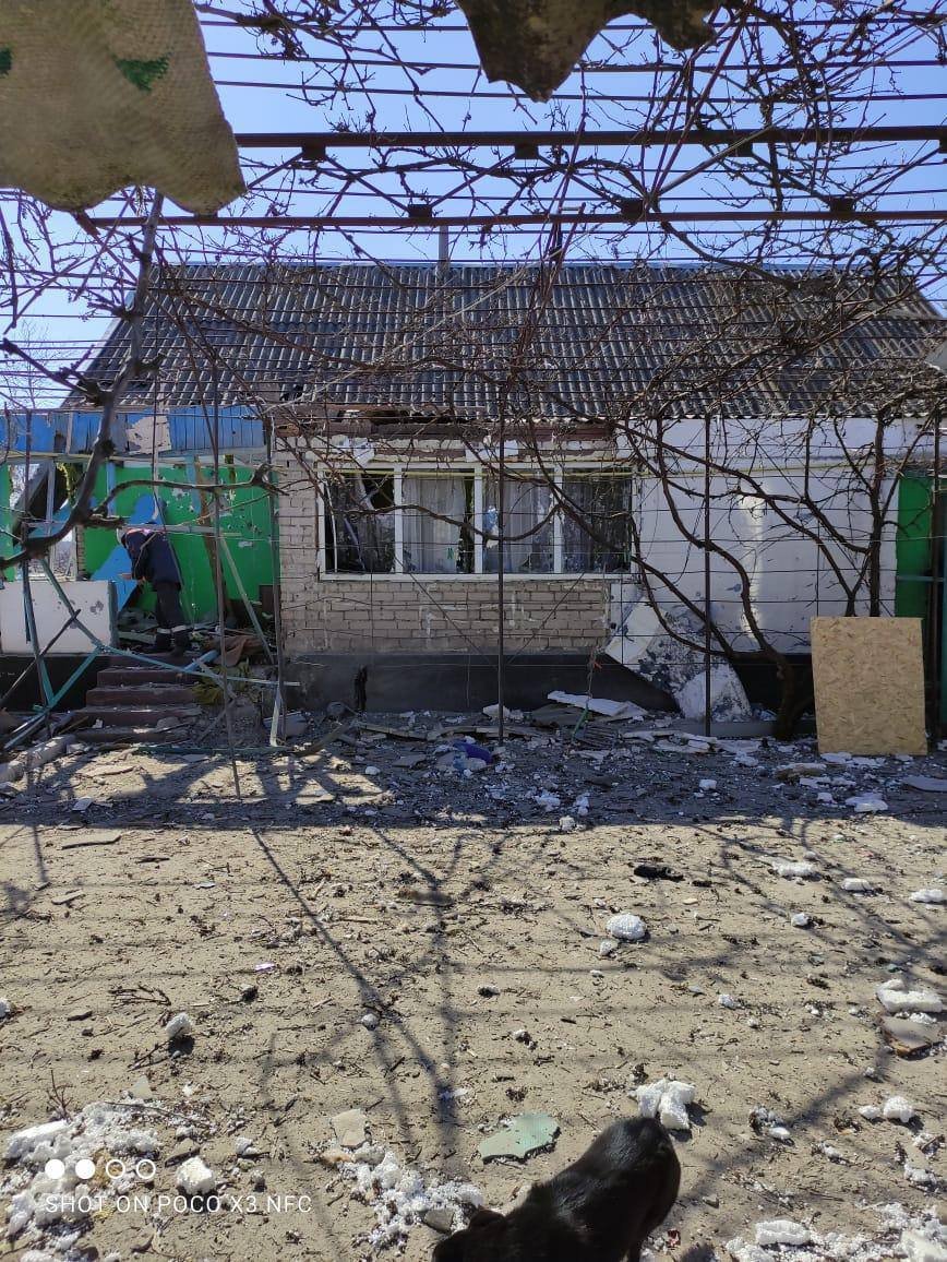 Свинособаки обстреляли из минометов село в Днепропетровской области 1