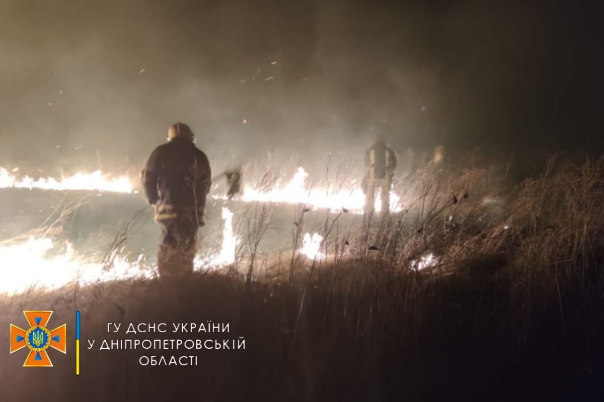 Умышленный поджог сухостоя или мусора приравняли к диверсии 2