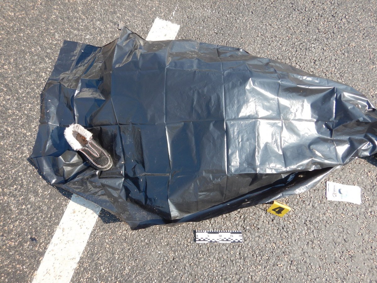 На выезде из Днепра Audi насмерть сбил женщину с велосипедом: нужна помощь в опознании 1