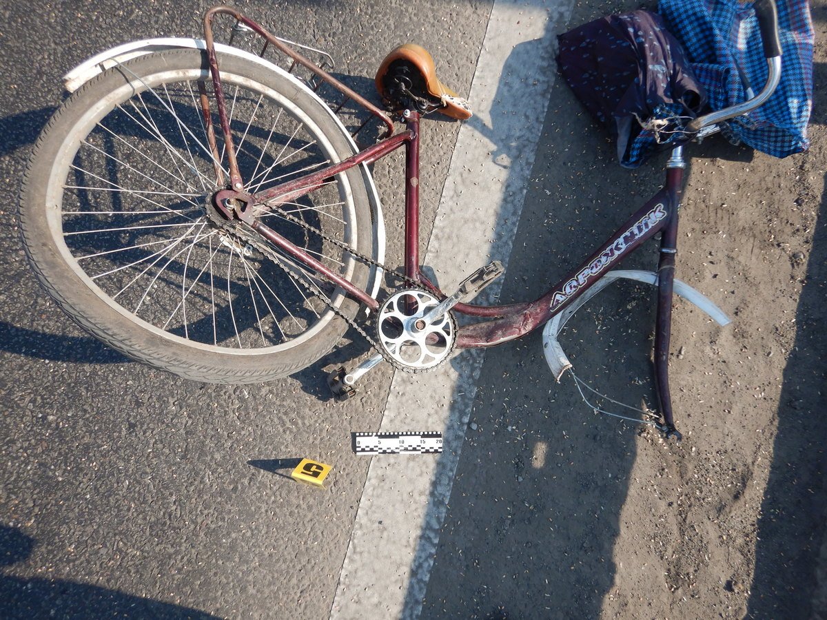 На выезде из Днепра Audi насмерть сбил женщину с велосипедом: нужна помощь в опознании 2