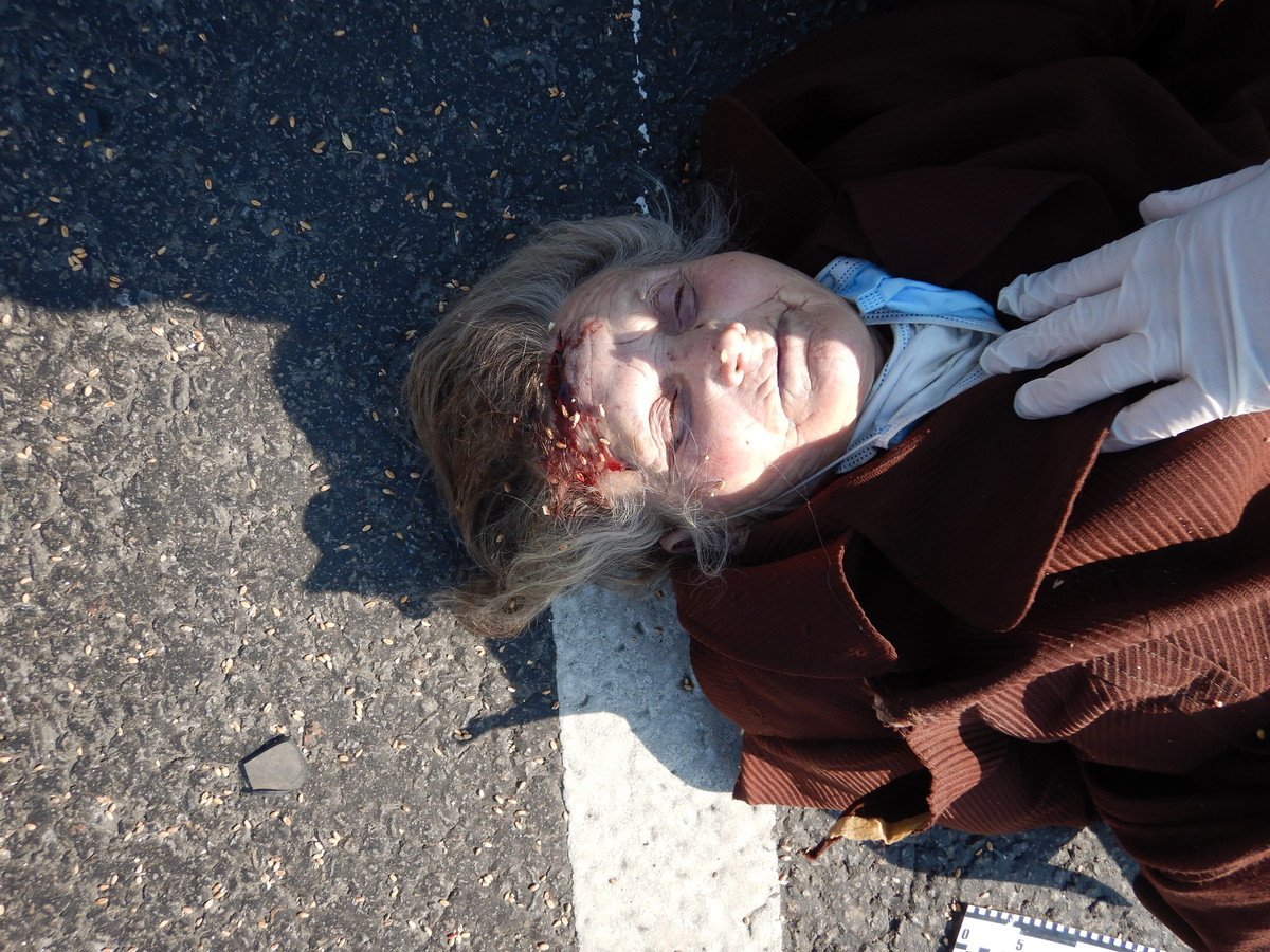 На выезде из Днепра Audi насмерть сбил женщину с велосипедом: нужна помощь в опознании 4