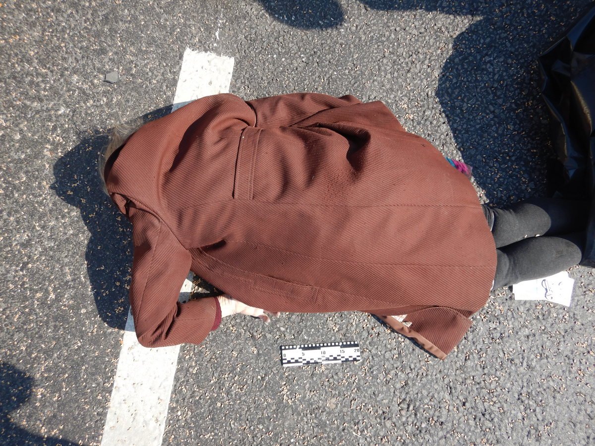 На выезде из Днепра Audi насмерть сбил женщину с велосипедом: нужна помощь в опознании 6