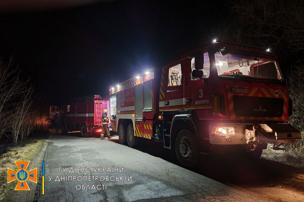 За сутки в Днепре и области сгорело 272 гектара сухостоя: отчет спасателей 2