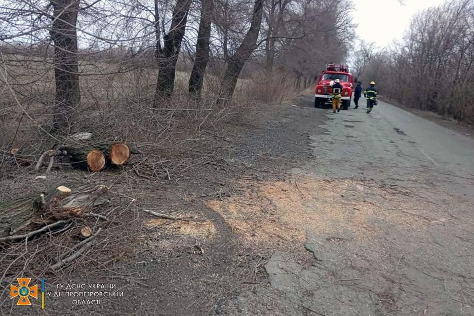 В Днепропетровской области спасатели убирают поваленные деревья с автодорог 1